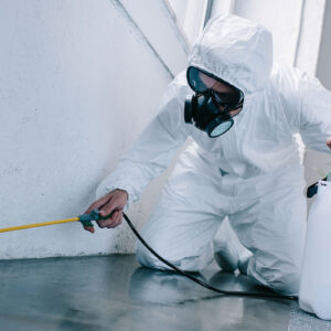 Pest Control Services